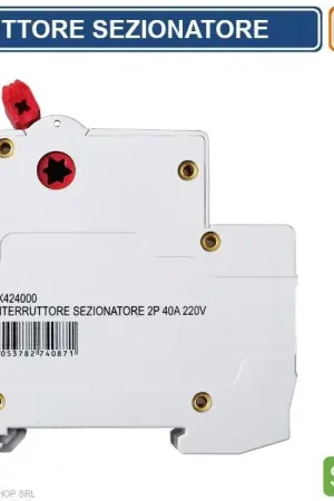 Interruttore sezionatore 2 poli 40A 220V ETTROIT JX424000 uso industriale Promozione