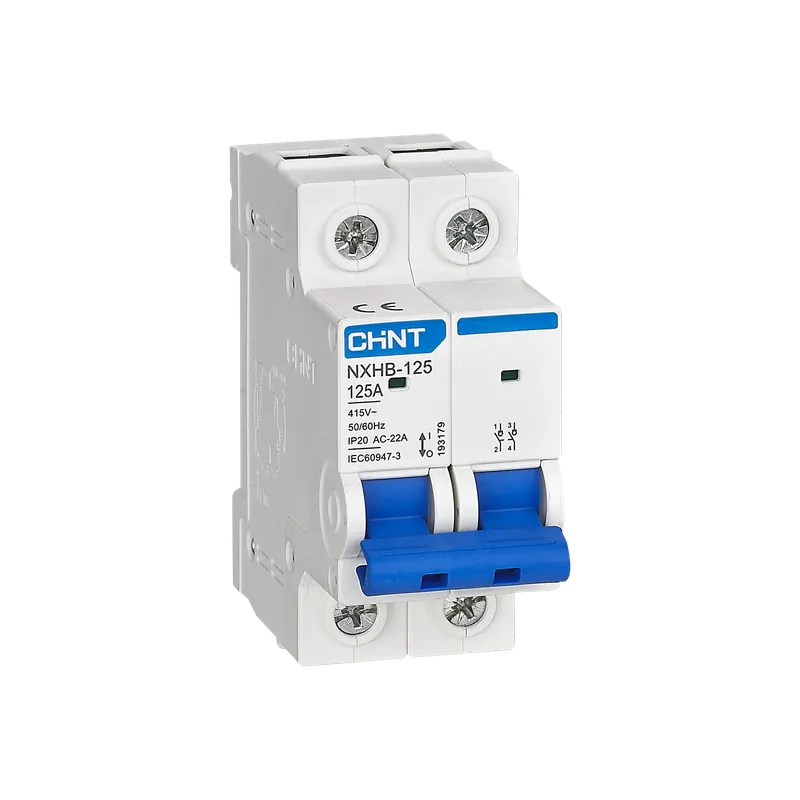 Sezionatore 2 Poli 40A NXHB-125/40-2P – Interruttore sezionatore modulare 2P 40 Ampere - 193175 Offerta Speciale