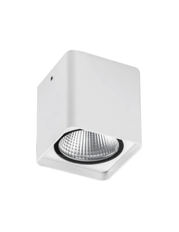 Rossini Kuba KUB006 Lampada da soffitto per esterni GU10 - Bianco Consegna Rapida