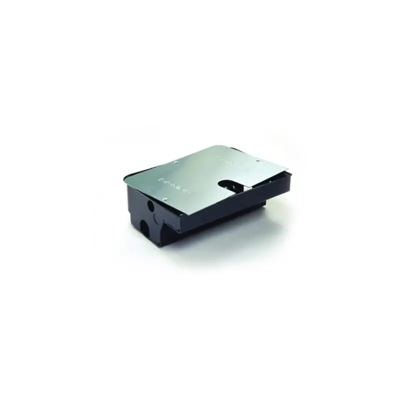 Nuovo Arrivo genius roller box inox cassetta di fondazione autoportante in acciaio per attuatore interrato faac genius 58P0052
