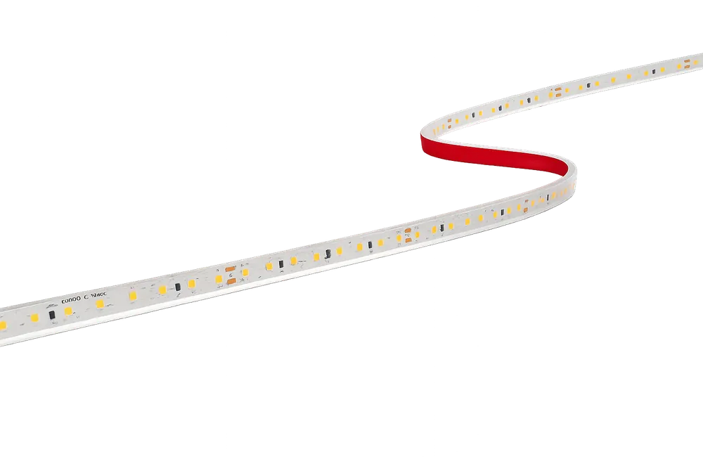 Strip LED Lunghezza 5m Century ACCENTO PRO 60W Luce Calda 2700K 1500Lm/m - ACP568-1212827 Più Venduto