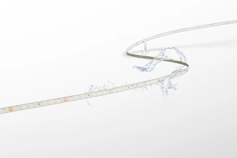 Acquista Ora Strip LED Lunghezza 5m Century ACCENTO PRO 60W Luce Naturale 4000K 1500Lm/m - ACP568-1212840