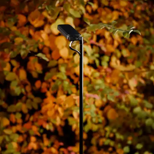 Offerta Del Giorno Luceplan Lampione a LED Flia, a 2 luci, nero, plastica