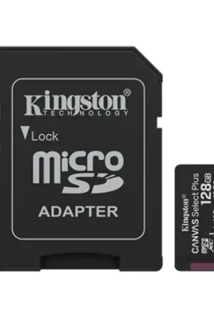 Popolare MicroSD 128GB con adattatore Kingston - SDCS3128GB