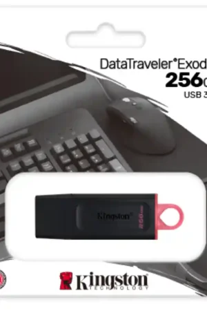 Pen drive USB 3.2 256GB Kingston - DTX256GB A Buon Prezzo