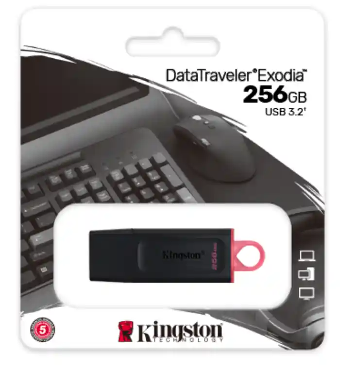 Pen drive USB 3.2 256GB Kingston - DTX256GB A Buon Prezzo