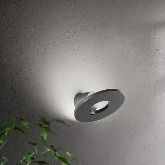 Occasione Imperdibile Applique da esterni LED Elite, grigio scuro, metallo, Ø 24 cm, IP54