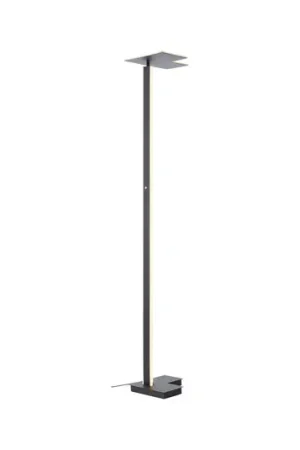 A Buon Prezzo Piantana LED Mora, antracite, altezza 178 cm, metallo