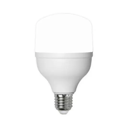 Professionale Lampadina LED E27 20 W 6.500 K 2.700 lumen