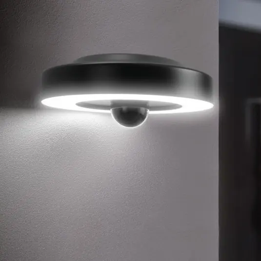 OSRAM SMART+ Telecamera LED per esterni CIRCLE con Wi-Fi, grafite Sensore IP44 Spedizione Espresso