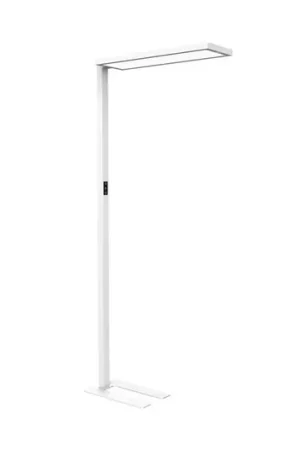 Prezzo Ridotto Piantana LED per ufficio MAULsenja, bianca, sensore, altezza 196 cm