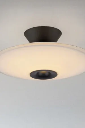 Pagamento Sicuro Paul Neuhaus plafoniera LED Elipsa, bianco/nero, Ø 35 cm