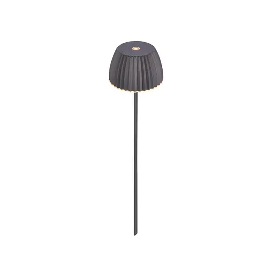 Offerta Lampo Lampada LED con picchetto RIFFLE MINI, antracite Ø 9 cm, IP44