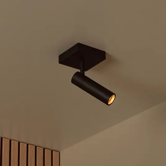 Acquista Ora Faretto da soffitto Grado, lunghezza 10 cm, nero, metallo