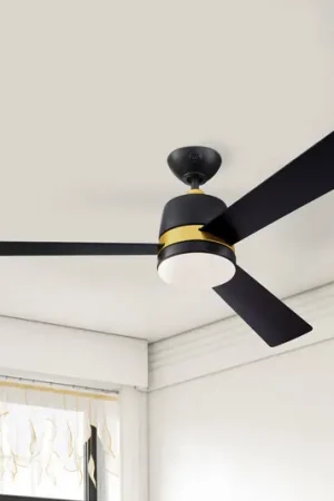 Offerta Ventilatore da soffitto Westinghouse con luce Tristan nero/legno