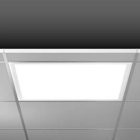 Compra Adesso RZB Pannello LED Eco Sidelite DALI 62,2 cm 29W 830