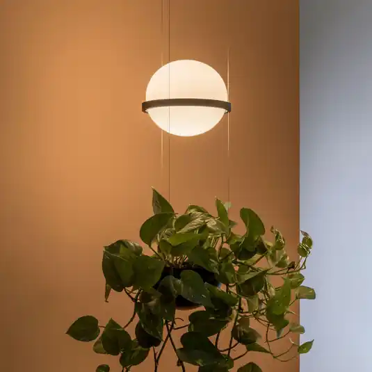 Vibia Palma 3724 Lampada a sospensione, vaso per piante, grafite Consegna Rapida