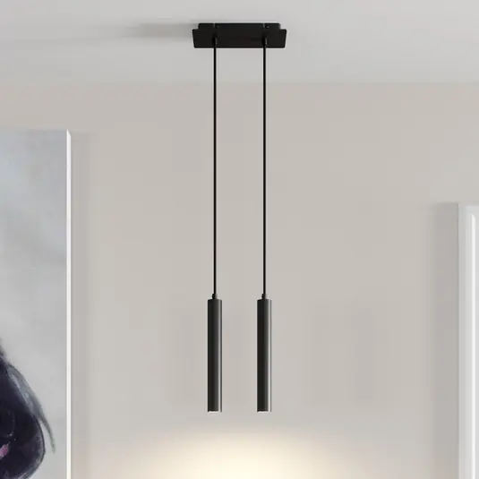 Offerta Del Giorno Lampada LED a sospensione Franka, a 2 luci, nero, alluminio