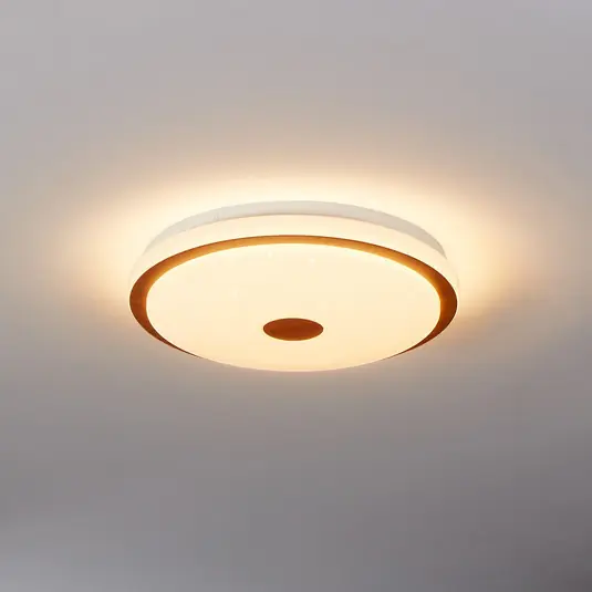 Direttamente Dal Produttore Plafoniera LED Lanciano 1 con telecomando Ø38cm