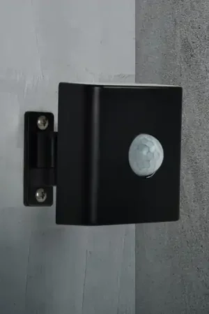 Sensore di movimento e crepuscolare Smart, nero Consegna Rapida