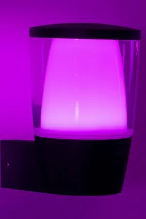 WiZ applique LED da esterni Elpas RGBW, nero Acquista Ora