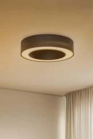 Direttamente Dal Produttore BRUMBERG Biro Circle, DALI nero 3.000K Ø 45 cm