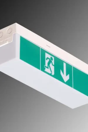 Acquista Ora Luce di emergenza a LED C-Lux Standard, batteria singola