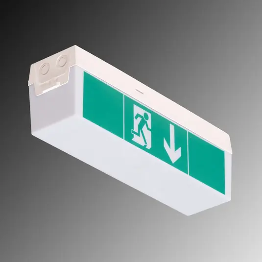Acquista Ora Luce di emergenza a LED C-Lux Standard, batteria singola
